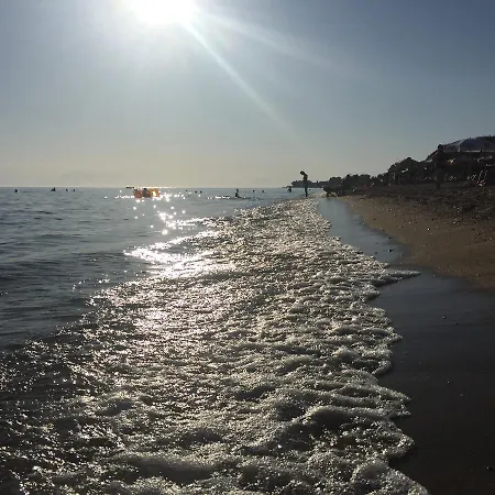 Seaside * Flogita